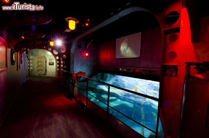 Immagine Espace Jules Verne, una sezione dell'Aquario di Parigi