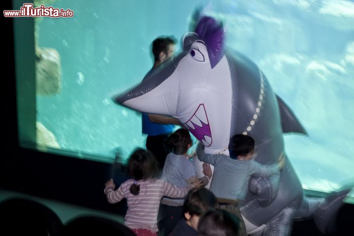 Immagine La mascotte di CineAqua, l'Aquarium de Paris