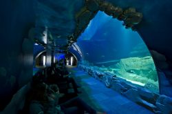 Il Tunnel degli Squali è forse la principale attrazione dell'Acquario di Parigi
