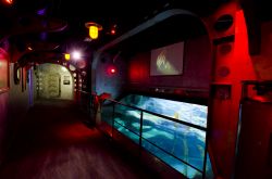 Espace Jules Verne, una sezione dell'Aquario di Parigi