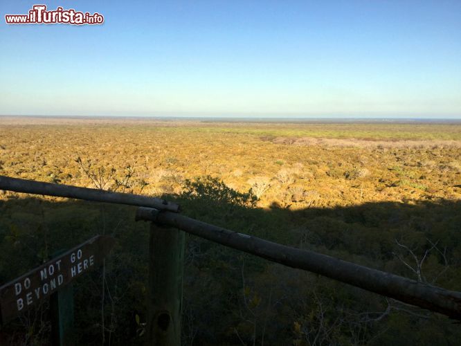 Immagine Arabuko-Sokoke Forest (Kenya): siamo nei pressi della località costiera di Watamu. La foresta si estende su un'area di 420 km quadrati.