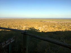 Arabuko-Sokoke Forest (Kenya): siamo nei pressi della località costiera di Watamu. La foresta si estende su un'area di 420 km quadrati.