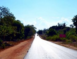 La strada che costeggia il lato orientale della Foresta Arabuko-Sokoke corre parallela alla costa del Kenya e collega la città di Mombasa con Malindi.