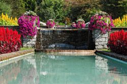 Una magnifica fioritura all'interno dei giardini di VIlla Taranto in Piemonte - © kavram / Shutterstock.com