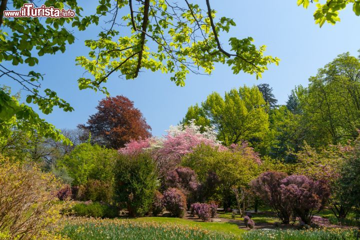 Immagine L'Orto botanico dei giardini di Villa Taranto, sul Lago Maggiore - © elitravo / Shutterstock.com