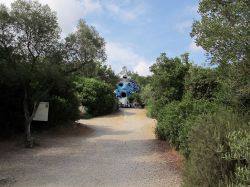 Un sentiero del parco del Giardino dei Tarocchi di Garavicchio di Capalbio, costellato di statue molto particolari