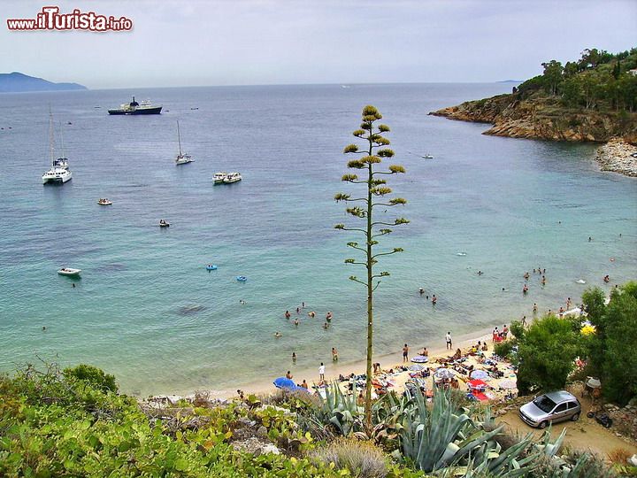 Immagine Isola del Giglio: la spiaggia delle Cannelle, la seconda per estensione, si trova a sud di Giglio Porto