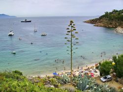 Isola del Giglio: la spiaggia delle Cannelle, la seconda per estensione, si trova a sud di Giglio Porto