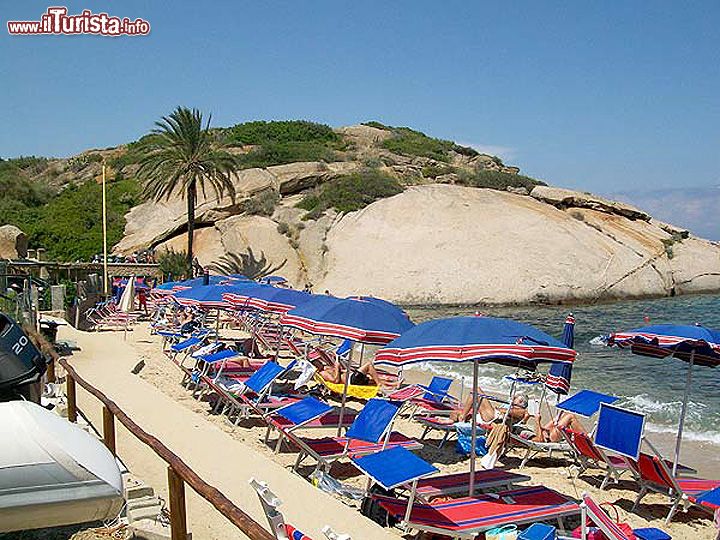 Immagine Il promontorio della Tartaruga, tra rocce granitiche e macchia mediterranea, e gli ombrelloni della spiaggia dell'Arenella, Isola del Giglio