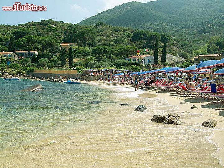 Immagine Il mare del Giglio: siamo sulla spiaggia dell'Arenella fotografata dalla parte nord (quella attrezzata): si nota la porzione sud dell'arenile, più stretta, utilizzabile come spiaggia libera