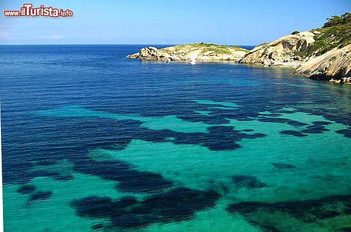Immagine Il mare cristallino dell'Arenella, la spiaggia a nord di Giglio Porto, con vista verso il Monte Argentario