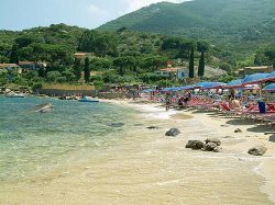 Il mare del Giglio: siamo sulla spiaggia dell'Arenella fotografata dalla parte nord (quella attrezzata): si nota la porzione sud dell'arenile, più stretta, utilizzabile come spiaggia ...