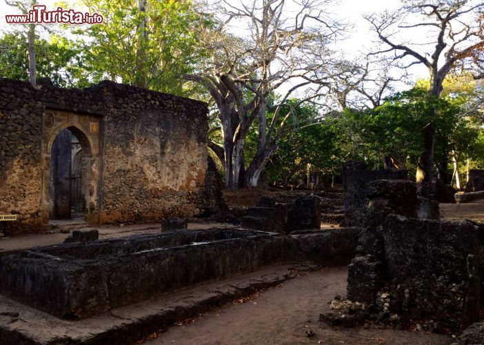 Immagine La Grande Moschea: è uno dei simboli delle rovine di Gede, in Kenya. Si possono ancora distinguere chiaramente alcune strutture portanti come le colonne e alcuni archi della moschea.