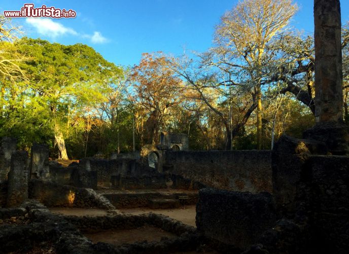 Immagine Le rovine del palazzo dell'antica Kilimani (Gede) sono una delle attrazioni principali di questo sito archeologico nei pressi di Watamu e Malindi, in Kenya.