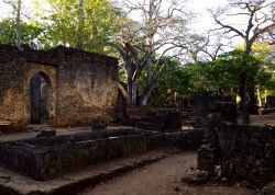 La Grande Moschea: è uno dei simboli delle rovine di Gede, in Kenya. Si possono ancora distinguere chiaramente alcune strutture portanti come le colonne e alcuni archi della moschea.