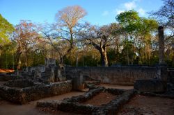 Rovine di Gede, Kenya: i suggestivi resti di un antico palazzo presso le rovine di Gede, situate nella foresta a pochi km dalla costa.