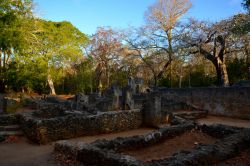 Rovine di Gede (Kenya): oltre ai resti dell'antico palazzo, all'interno del sito archeologico si possono ancora distinguere ben otto moschee, una doppia cinta muraria, pozzi, tombe e ...