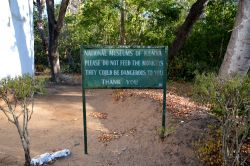 All'ingresso delle rovine di Gede un cartello invita i visitatori a non dare da mangiare alle scimmie per ragioni di sicurezza, visto che si tratta di animali selvatici.