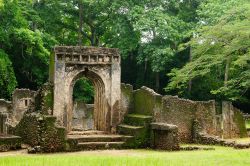 Le antiche rovine di Gede a Watamu, una visita imperdibile per gli appassionati di archeologia in Kenya - © Rafal Cichawa / Shutterstock.com