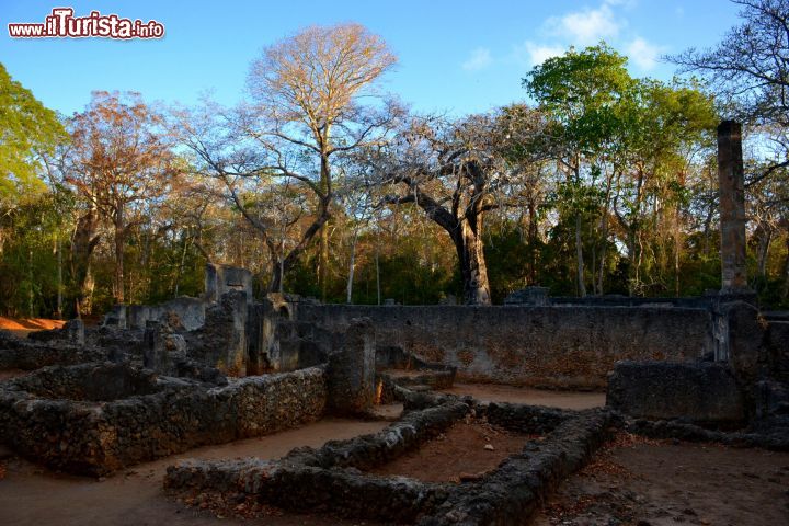 Immagine Rovine di Gede, Kenya: i suggestivi resti di un antico palazzo presso le rovine di Gede, situate nella foresta a pochi km dalla costa.