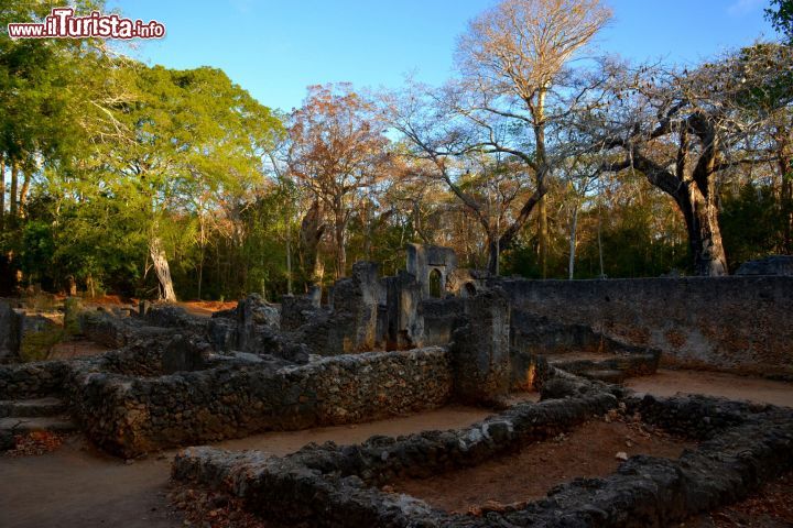 Immagine Rovine di Gede (Kenya): oltre ai resti dell'antico palazzo, all'interno del sito archeologico si possono ancora distinguere ben otto moschee, una doppia cinta muraria, pozzi, tombe e molte altre strutture cittadine.
