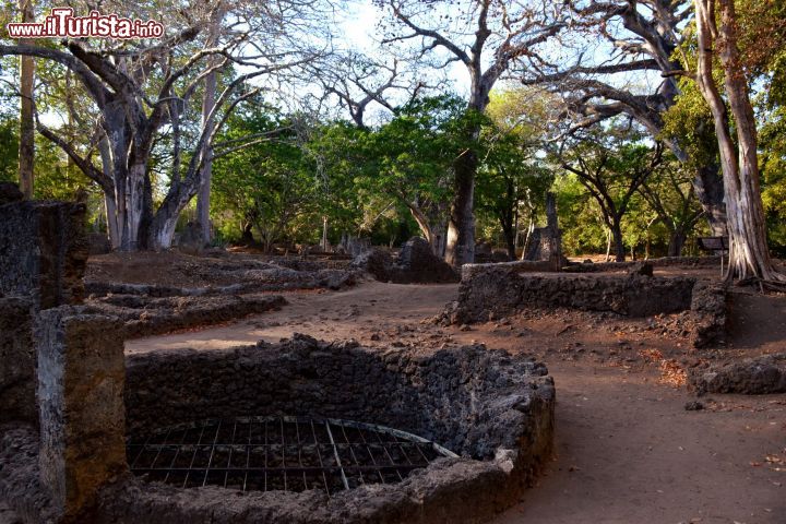 Immagine Un pozzo presso le rovine di Gede. Nonostante la grande profondità del pozzo (40 metri), alcuni studiosi riengono che la siccità possa essere stata uan delle case dell'abbandono della città nel XVII secolo.