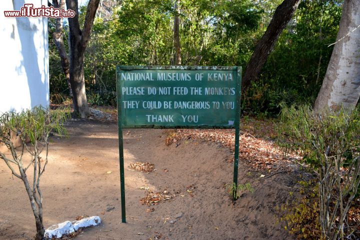 Immagine All'ingresso delle rovine di Gede un cartello invita i visitatori a non dare da mangiare alle scimmie per ragioni di sicurezza, visto che si tratta di animali selvatici.