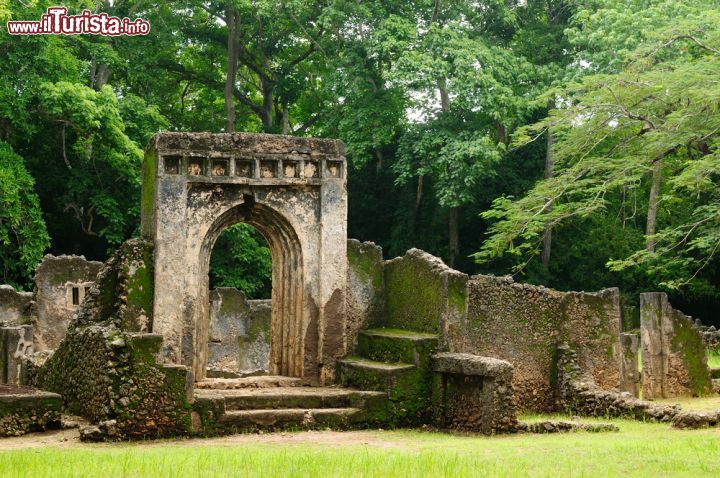 Immagine Le antiche rovine di Gede a Watamu, una visita imperdibile per gli appassionati di archeologia in Kenya - © Rafal Cichawa / Shutterstock.com