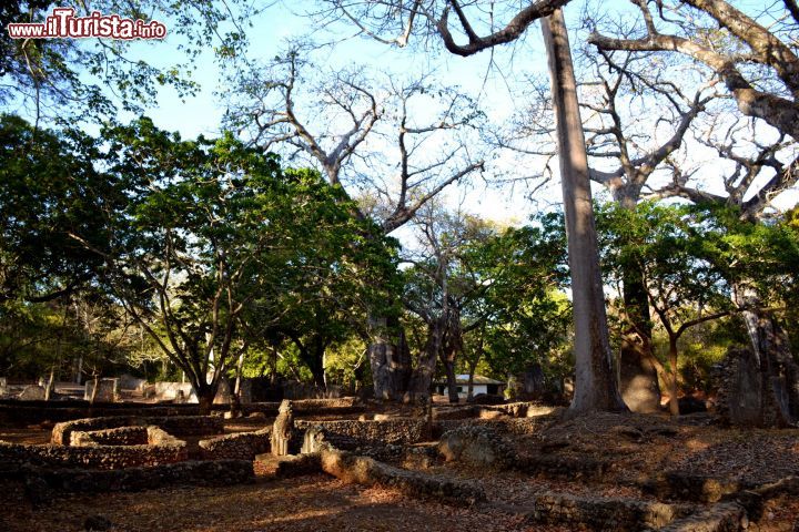 Immagine Rovine di Gede, Watamu (Kenya): la visita alle vestigia dell'antica città Swahili dura circa un'ora e mezza. Consigliamo di farla accompagnati da una guida ufficiale che possa illustrare tutte le caratteristiche di questo suggestivo sito archeologico.