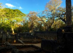 Le rovine del palazzo dell'antica Kilimani (Gede) sono una delle attrazioni principali di questo sito archeologico nei pressi di Watamu e Malindi, in Kenya.