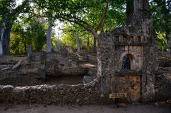 Rovine di Gede, la tomba a pilastri: sono diverse le tombe che si possono vedere durante la visita alle rovin dell'antica citta Swahili nei pressi di Watamu.