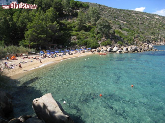 Immagine La spettacolare spiaggia delle Caldane, si trova a sud della Spiaggia delle Cannelle, ed è raggiungibile solamente a piedi o in barca, partendo da Giglio porto. E' considerata come una delle spiagge più belle dell' Isola del Giglio