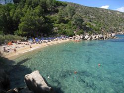 La spettacolare spiaggia delle Caldane, si trova a sud della Spiaggia delle Cannelle, ed è raggiungibile solamente a piedi o in barca, partendo da Giglio porto. E' considerata come ...