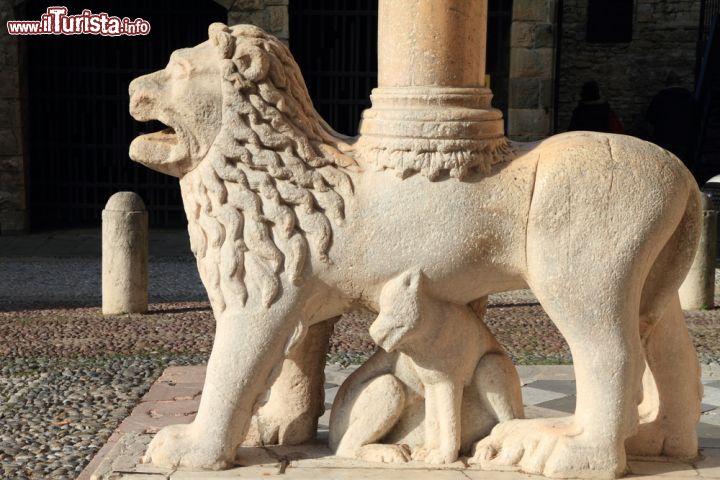 Immagine Particolare della Porta dei Leoni Rossi, l'ingresso nord alla Basilica di Santa Maria Maggiore a Bergamo Alta - © Ana del Castillo / Shutterstock.com