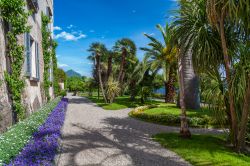 Il grande giardino botanico di Villa Borromeo, ideale meta di una escursione sull'Isola Madre, chiamata un tempo come Isola Maggiore, dato che è la più estesa dell'arcipelago: ...