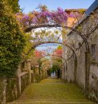 La visita al giardino fiorito dell'Isola Madre, la più verde delle tre isole principali dell'arcipelago delle Borromee, sul Lago Maggiore in piemonte - © elitravo / ...