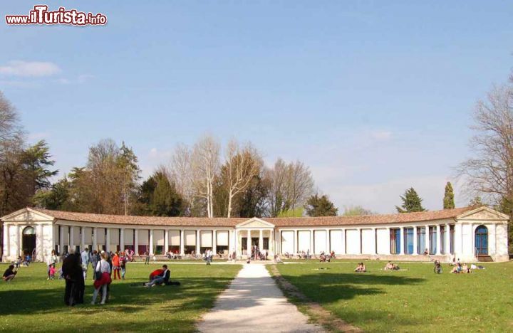 Immagine La cedraia del Parco degli Alberi Parlanti a Treviso - ©  foto G. Cavasin - Gruppo Alcuni