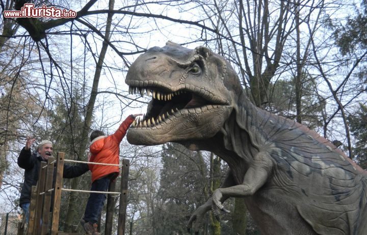 Cosa vedere e cosa visitare Parco degli Alberi Parlanti