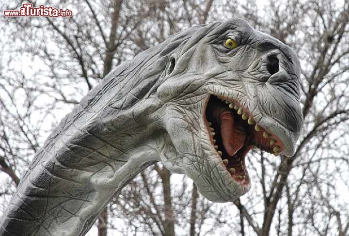 Immagine Il percorso  denominato Draghi, Dinosauri e Animali Estinti è una delle attrazioni più apprezate del Parco degli Alberi Parlanti di Villorba di Treviso - © Gruppo Alcuni
