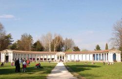 La cedraia del Parco degli Alberi Parlanti a Treviso - ©  foto G. Cavasin - Gruppo Alcuni