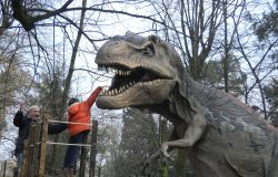 La Prova del Coraggio: un bambino sfida uno spaventoso T-Rex nel percorso dei dinosauri al Parco degli alberi - © Gruppo Alcuni
