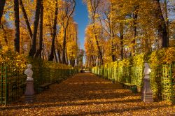 I colori dell'Autunno nel Giardino d'Estate a San Pietroburgo in Russia - © Alexander Mak / Shutterstock.com