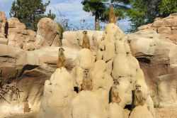 Un gruppo di suricati e la perfetta ricostruzione dell'ambiente del deserto del Kalahari al parco Zoom Torino in Piemonte- @ Zoom Torino