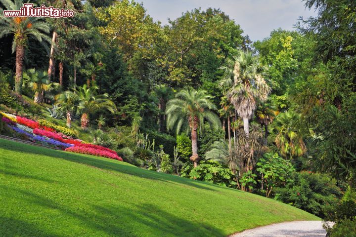 Immagine Il giardino botanico di Villa Carlotta a Tremezzo, con i suoi otto ettari visitabili, è uno dei luoghi più suggestivi di tutto il lago di Como - © kavram / Shutterstock.com