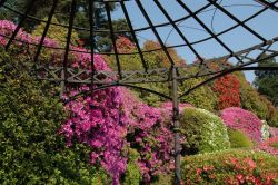 La fioritura primaverile nel parco di Villa Carlotta è un appuntamento immancabile per quanti decidonop di visitare lo splendido giardino botanico - foto © www.villacarlotta.it