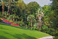 Il giardino botanico di Villa Carlotta a Tremezzo, con i suoi otto ettari visitabili, è uno dei luoghi più suggestivi di tutto il lago di Como - © kavram / Shutterstock.com ...