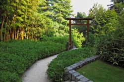 L'area della tenuta di Villa Carlotta ispirata ai giardini giapponesi ospita venticinque specie di bambù - foto © kavram / Shutterstock.com
