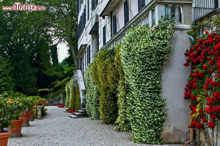 Immagine Un'immagine esterna di Villa Carlotta, sul lago di Como. La villa risale al XVII secolo, quando fu costruita per volere del marchese Giorgio Clerici - foto © www.villacarlotta.it