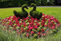 Il parco di Villa Carlotta, sul lago di Como, ospita numerose specie floreali ed è una delle attrazioni più visitate dai turisti in villeggiatura a Tremezzo - foto © www.villacarlotta.it
 ...