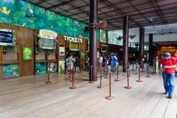 La biglietteria dello Zoo di Singapore. Legno e decorazioni che ritraggono animali e vegetazione impreziosiscono l'atrio che ospita la biglietteria del parco faunistico della città ...
